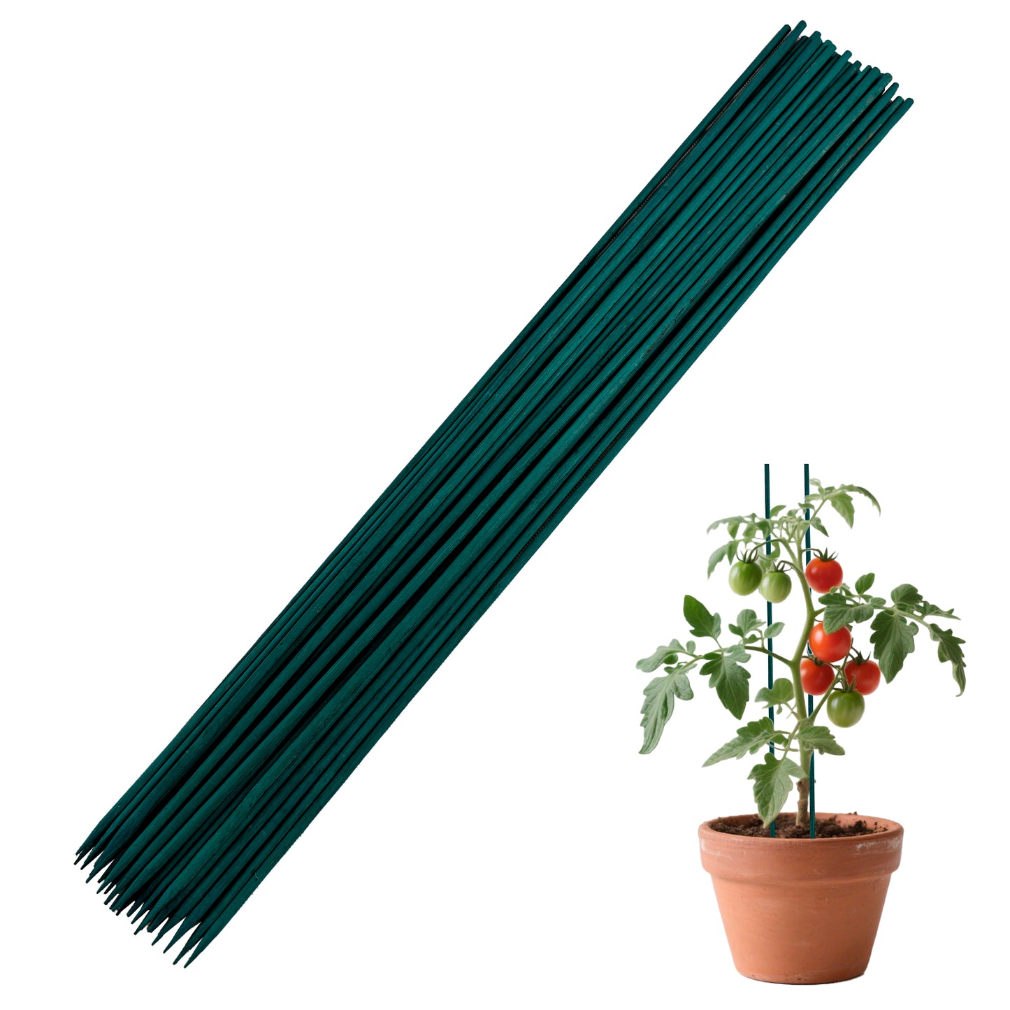 Green Dyed Bamboo Flower Stakes - Plant Support Garden Stakes