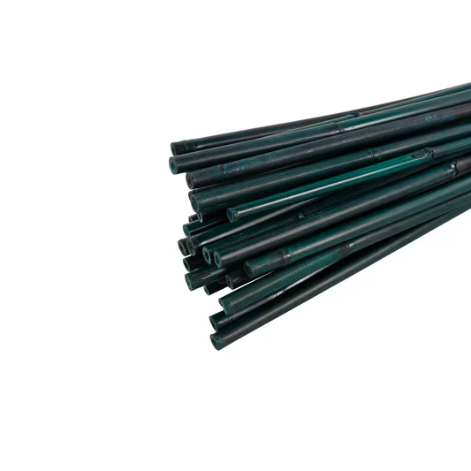 Green Dyed Bamboo Stakes 3-6FT - Professional Garden Plant Support