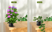 3-Feet Natural U-Hoops Bamboo,Plant Trellis,35.5in Garden Trellis for Climbing Plants Outdoor Indoor - 3 Pack