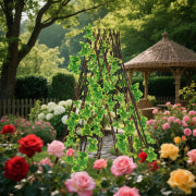 round expandable willow plant support for outdoor garden use