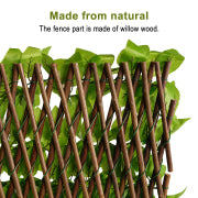 48 in x 18 in expandable willow trellis for outdoor privacy screen