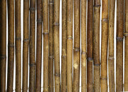 Caramel Brown Bamboo Fence 72" H X 96" L