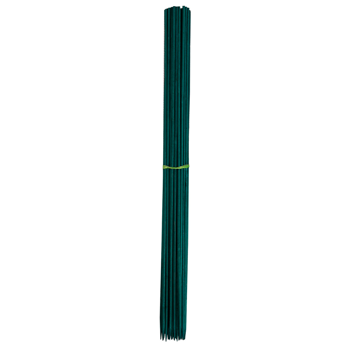green bamboo plant support sticks for flowers stems and young plants