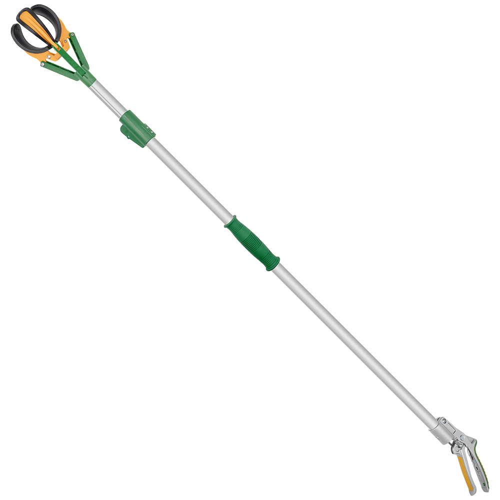 Zenport ZL6146A Long Reach Telescopic Fruit Picker, 6-Feet Extension