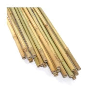 Wholesale Bulk Nursery Stakes