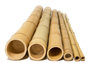 10′ x 2″ Large Diameter Bamboo Poles
