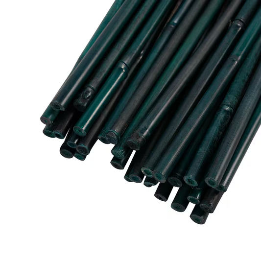 Green Dyed Bamboo Stakes 3-6FT - Professional Garden Plant Support