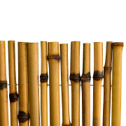 Bamboo garden fence screening for outdoor privacy