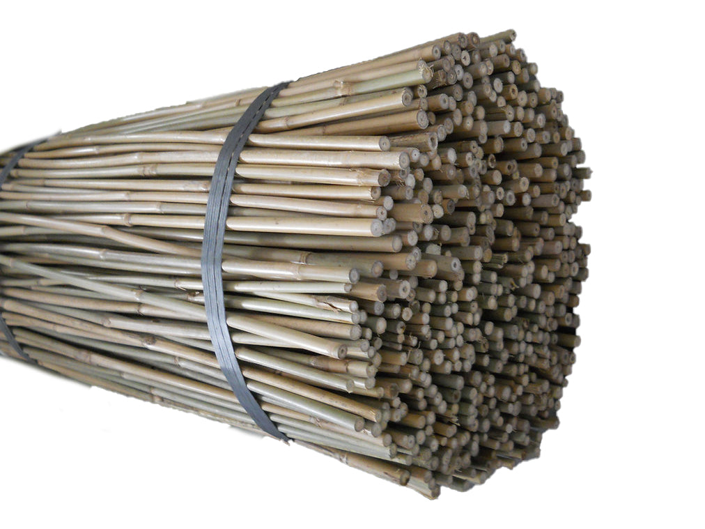 5' × 8-17mm Natural Bamboo Poles
