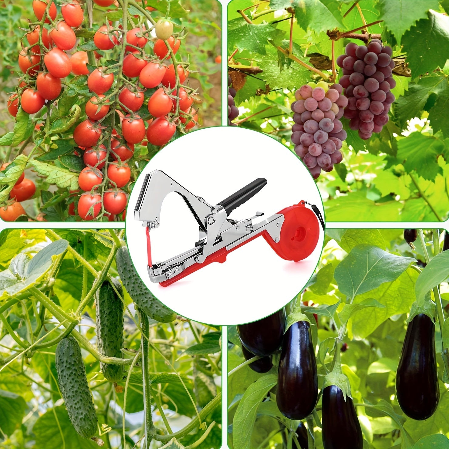 Plant tying tape and staples for securing vines and garden plants