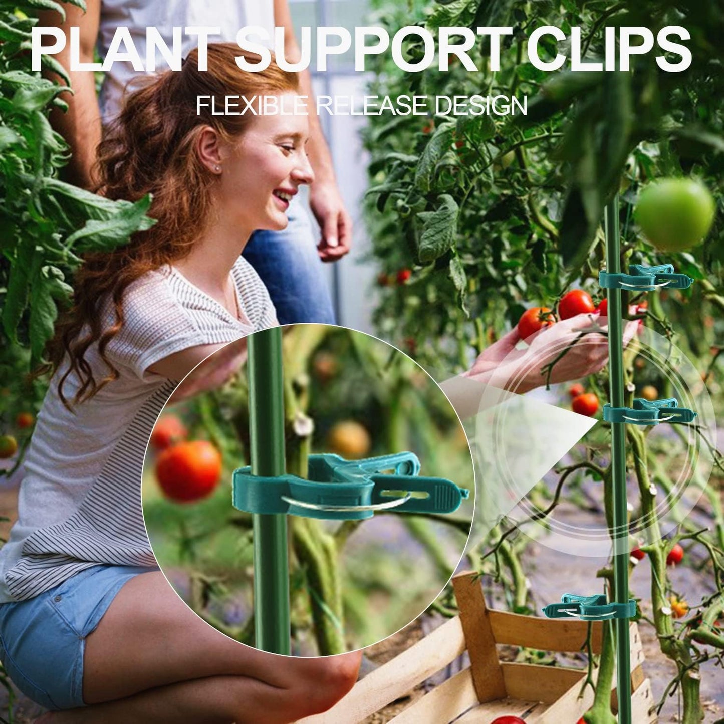 plant clips for supporting flowers vines and climbing garden plants
