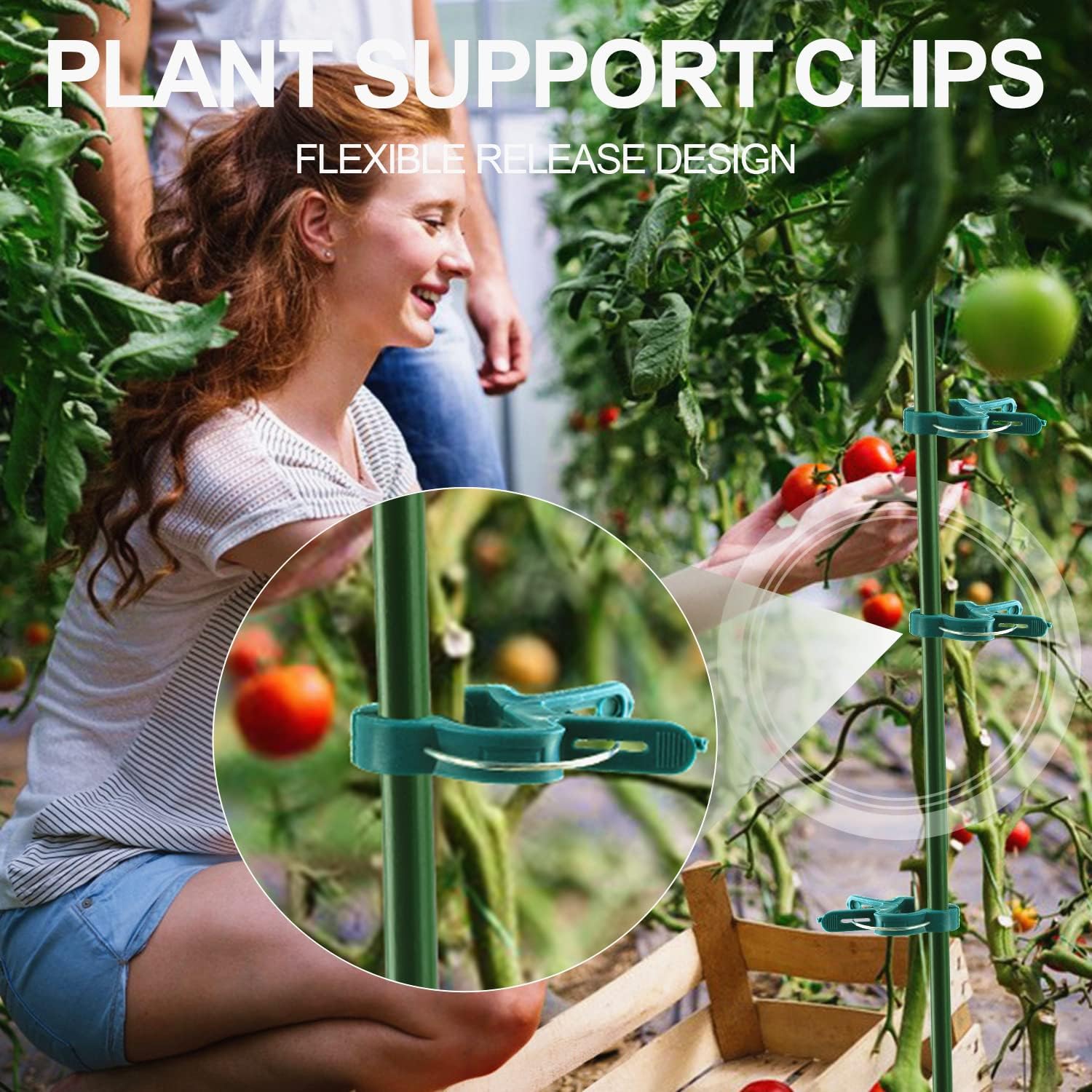 plant clips for supporting flowers vines and climbing garden plants