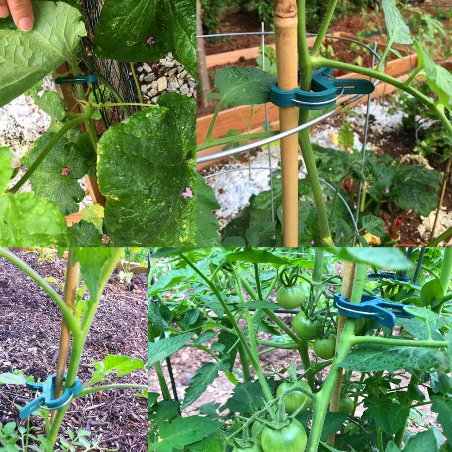 Plant Support Clips – Tomato, Vine & Flower Garden Clips