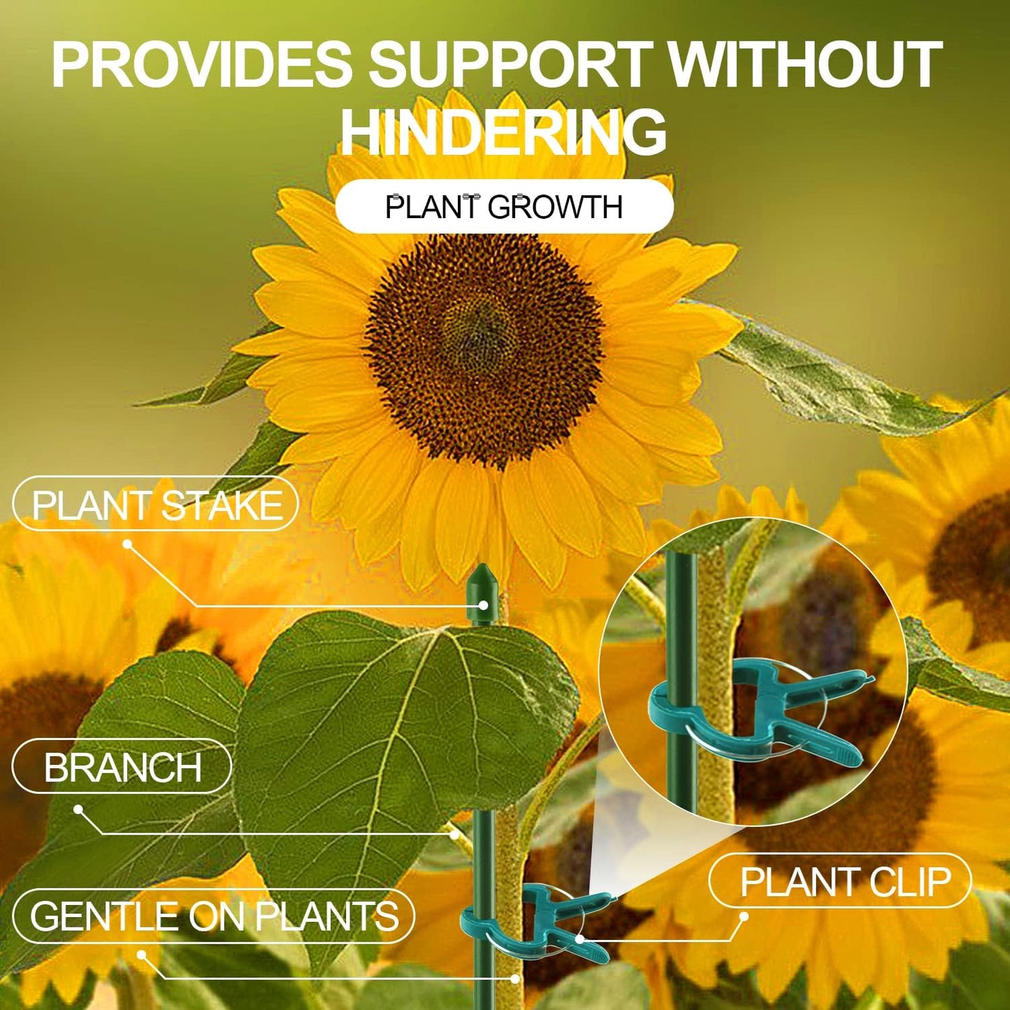 Plant Support Clips – Tomato, Vine & Flower Garden Clips