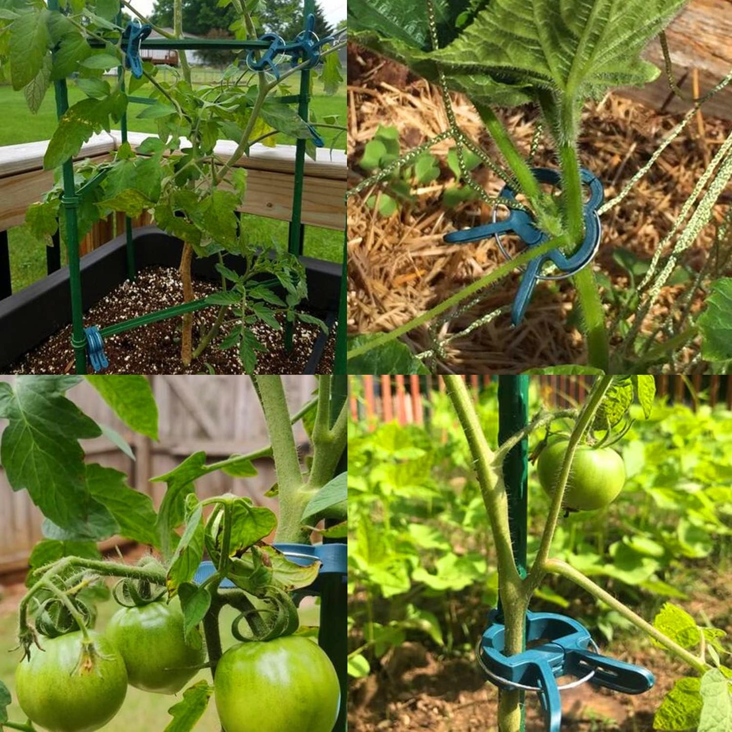 Plant Support Clips – Tomato, Vine & Flower Garden Clips