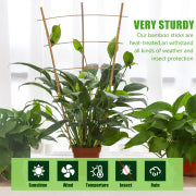 Bamboo Garden Trellis - 24 Inches Tall-3 Pack