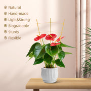 Bamboo Garden Trellis - 24 Inches Tall-3 Pack
