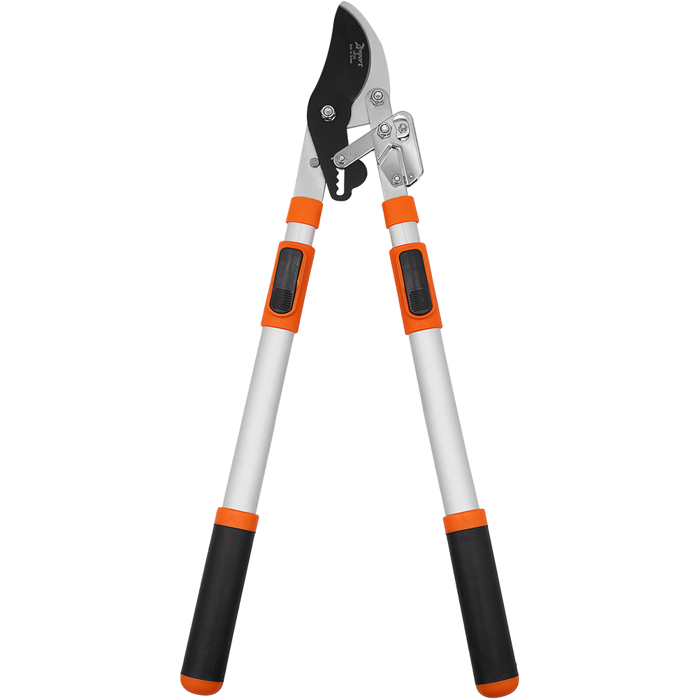 Zenport LRT10 Telescopic Ratchet Bypass Lopper
