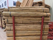 10' × 26-28mm Natural Bamboo Poles(40poles)
