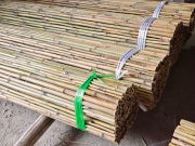 Natural Bamboo Poles,5-Feet Bamboo Stakes-Pack of 20 Bamboo Sticks