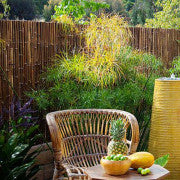 Natural Black Bamboo Fence 72" H x 96" L