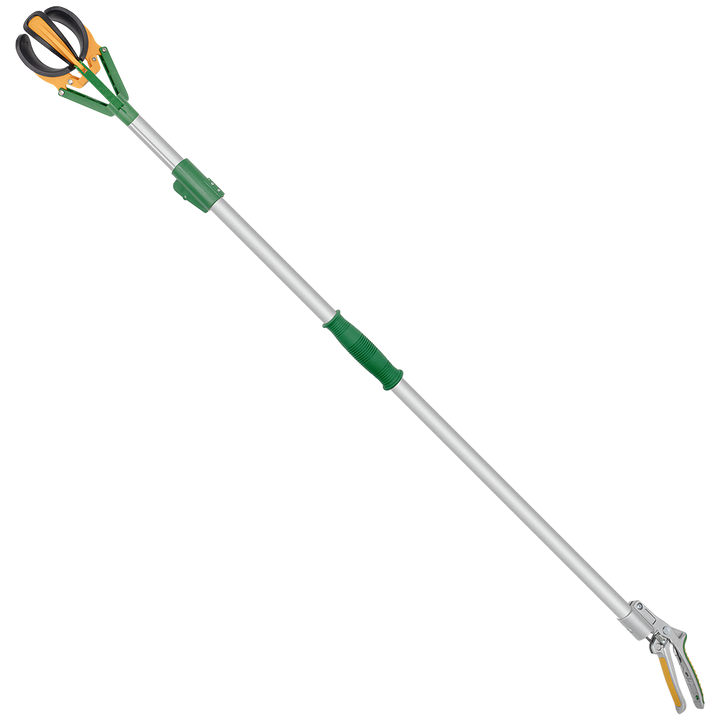 Zenport ZL6146A Long Reach Telescopic Fruit Picker, 6-Feet Extension